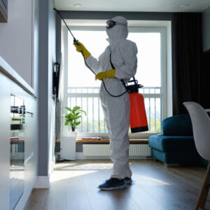 Exterminator in a house